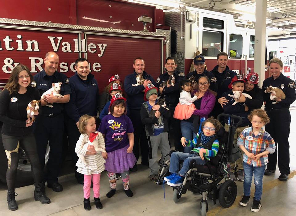 Firefighters with kids and Pile of Puppies.